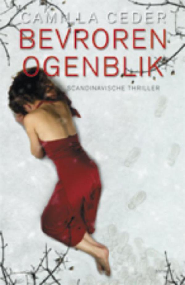 Omslag van Bevroren ogenblik