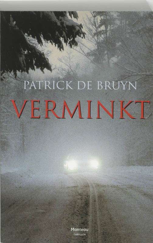 Omslag van Verminkt
