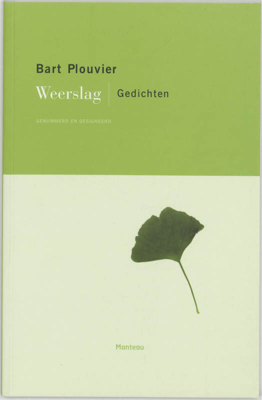 Omslag van Weerslag