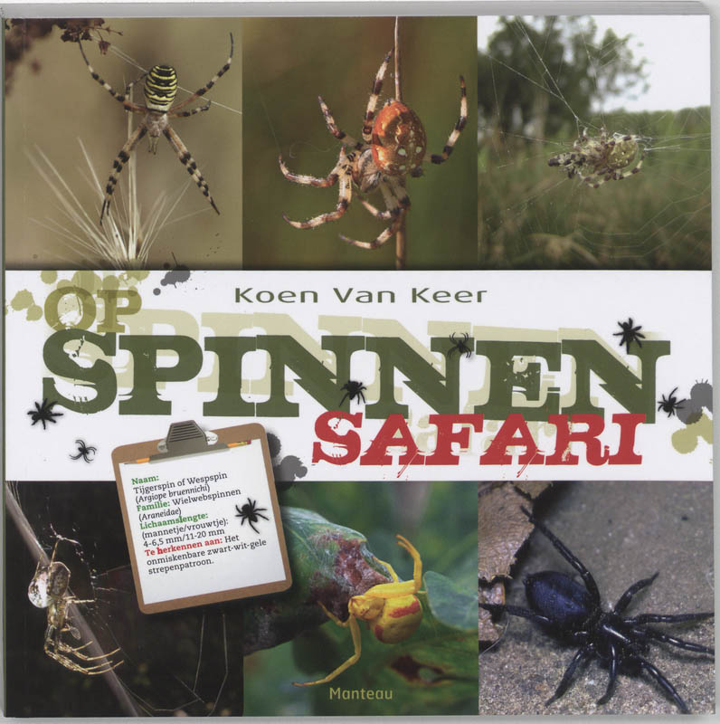 Omslag van Op spinnensafari
