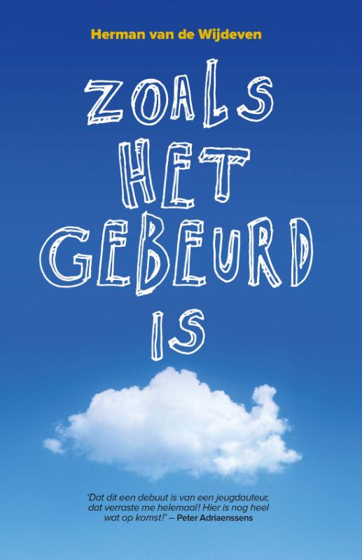 Omslag van Zoals het gebeurd is