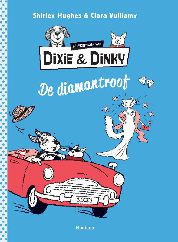 Omslag van De diamantroof