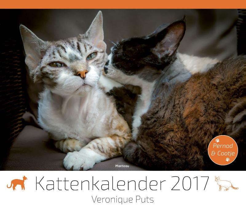 Omslag van Kattenkalender 2017