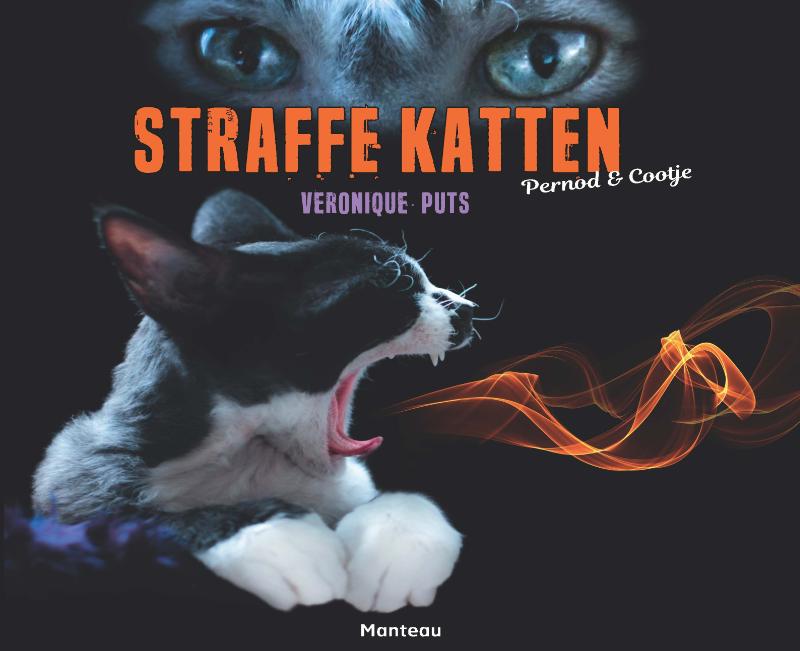 Omslag van Straffe katten
