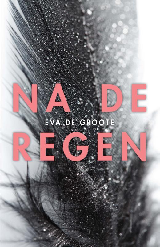 Omslag van Na de regen