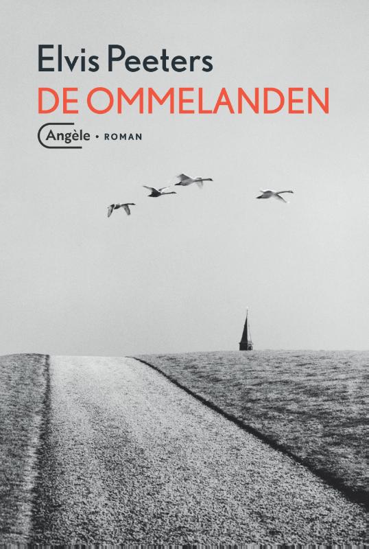 Omslag van De Ommelanden