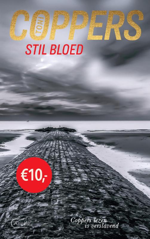 Omslag van Stil bloed