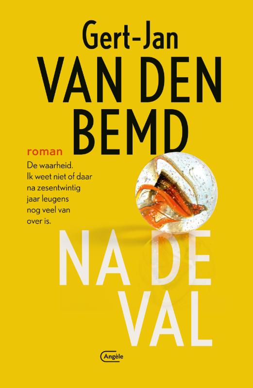 Omslag van Na de val