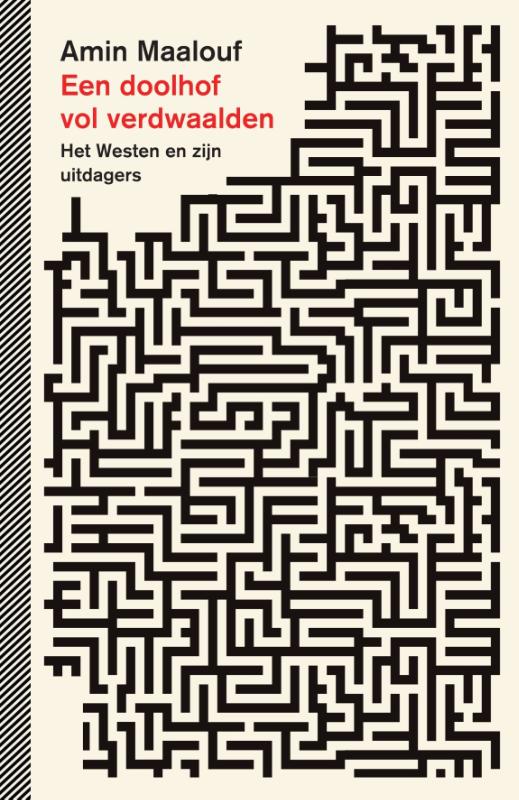 Omslag van Een doolhof vol verdwaalden