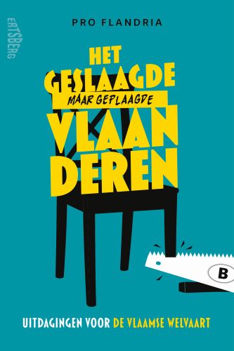 Omslag van Het geslaagde maar geplaagde Vlaanderen