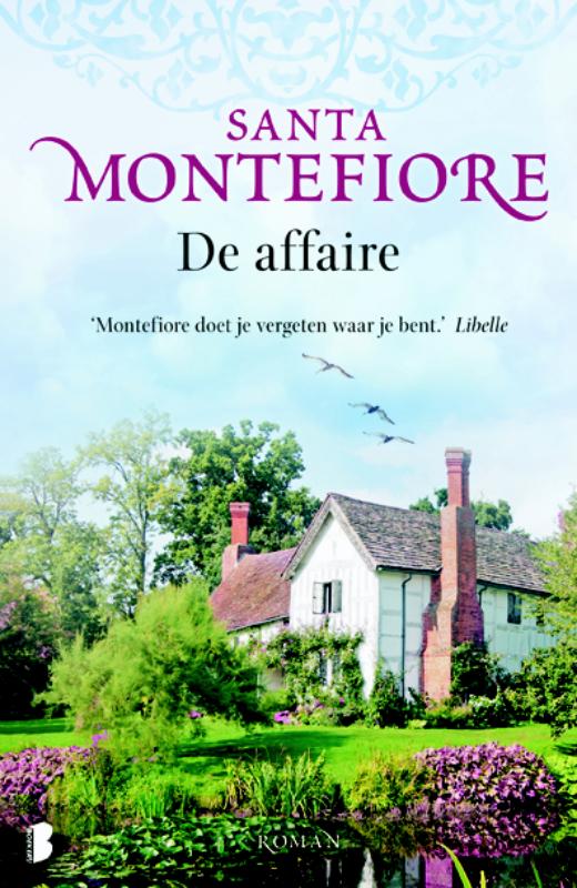Omslag van De affaire