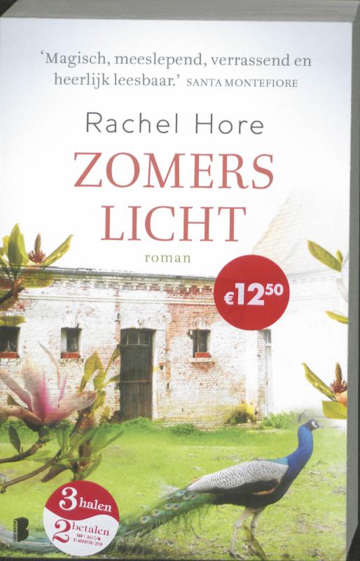 Omslag van Zomers licht