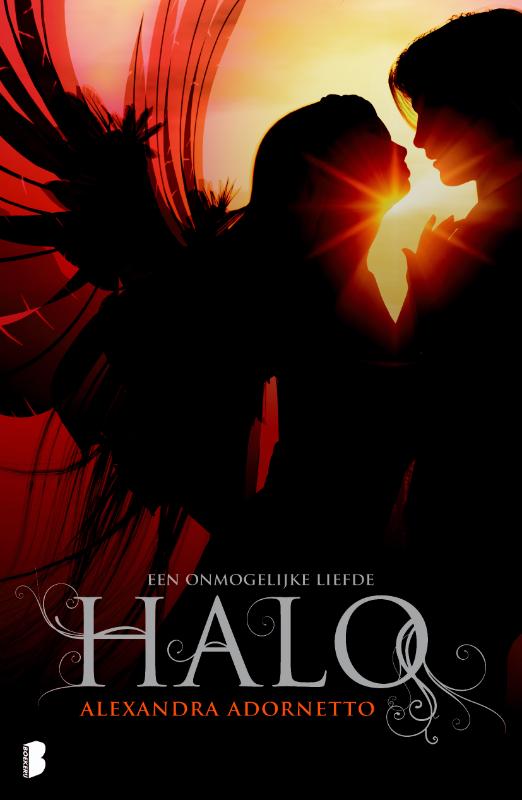 Omslag van Halo