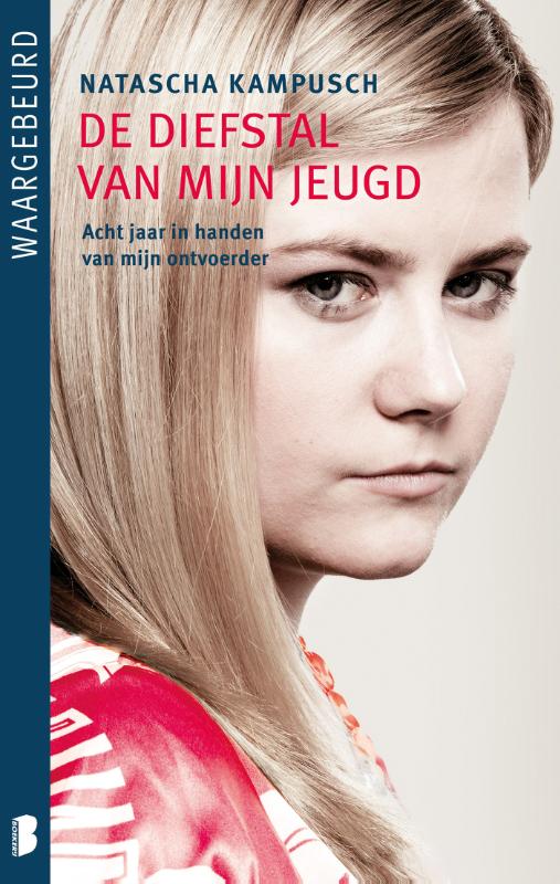 Omslag van De diefstal van mijn jeugd