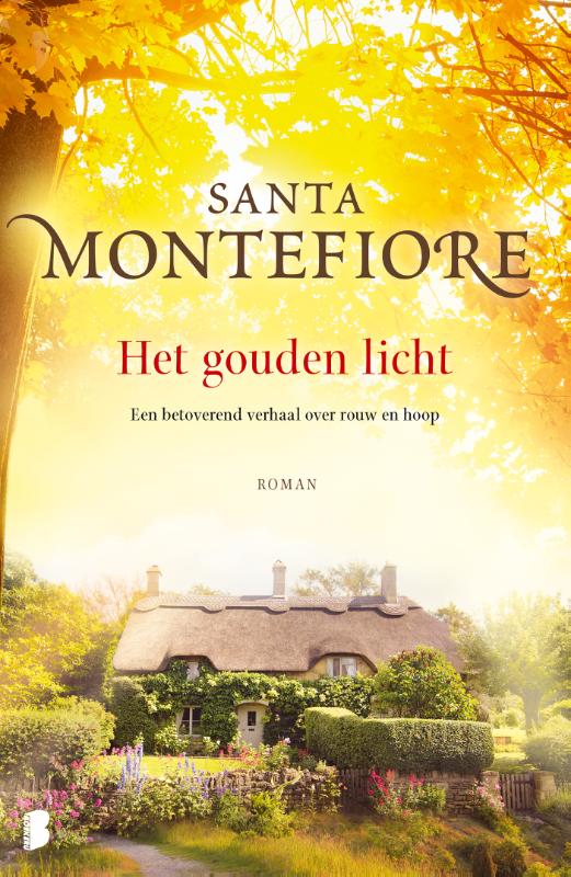 Omslag van Het gouden licht