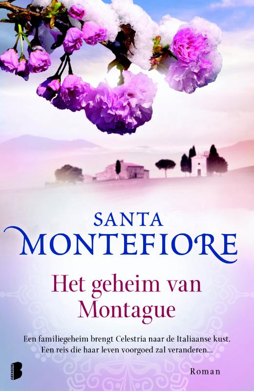 Omslag van Het geheim van Montague