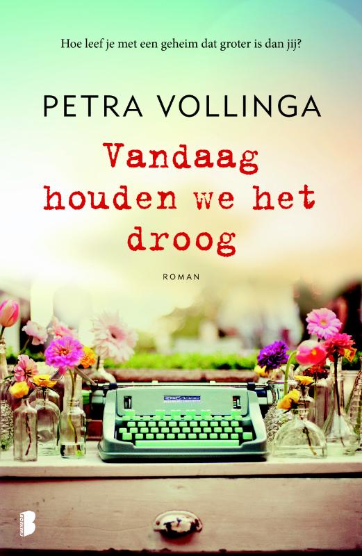 Omslag van Vandaag houden we het droog