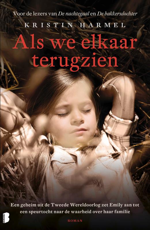 Omslag van Als we elkaar terugzien