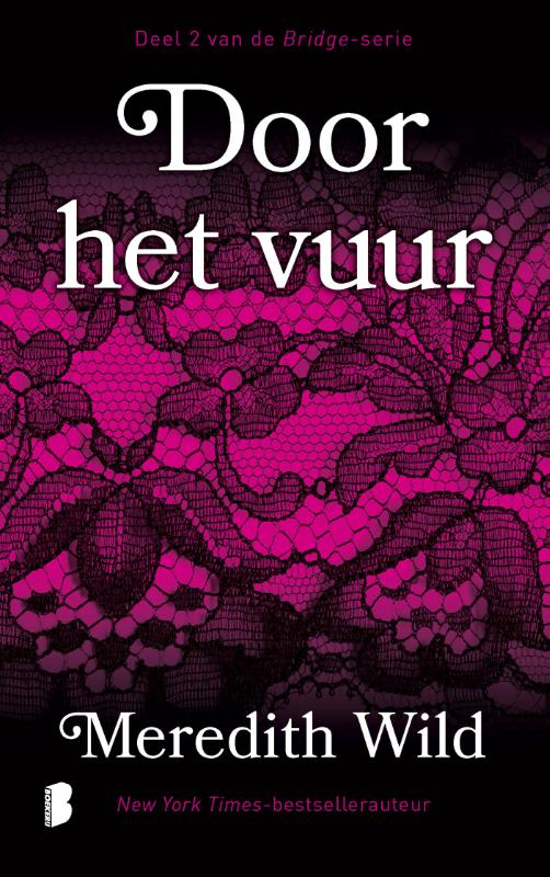 Omslag van Door het vuur