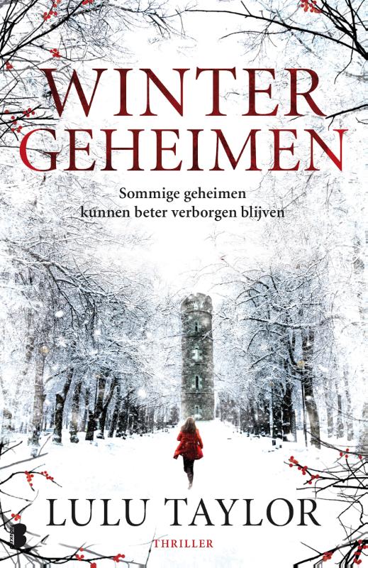 Omslag van Wintergeheimen