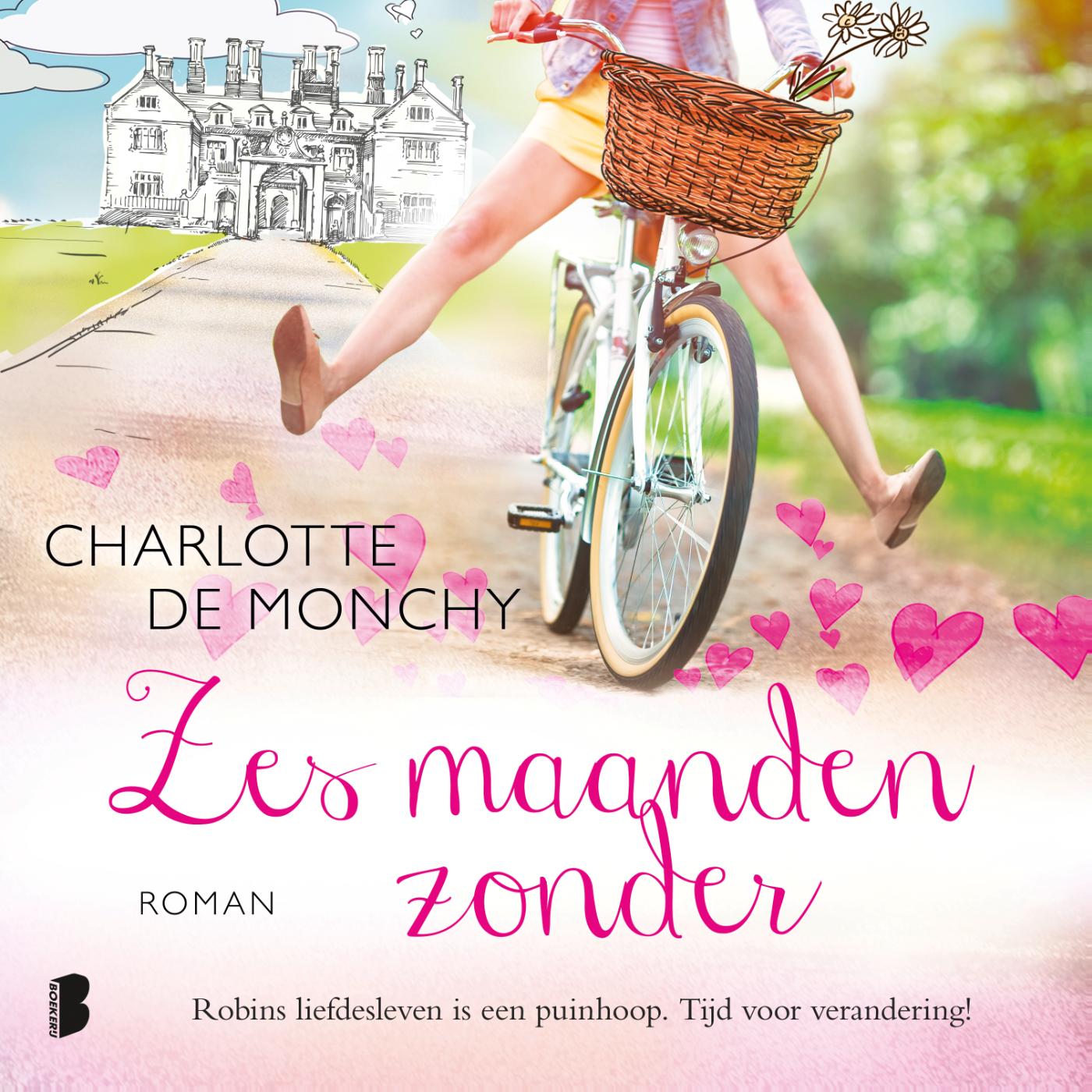 Omslag van Zes maanden zonder
