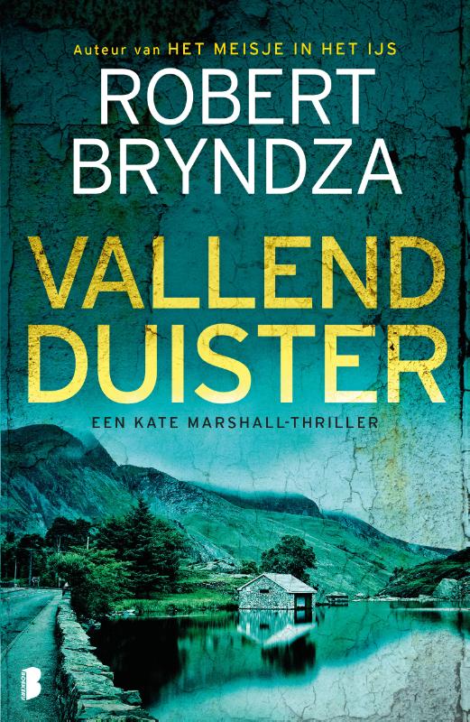 Omslag van Vallend duister
