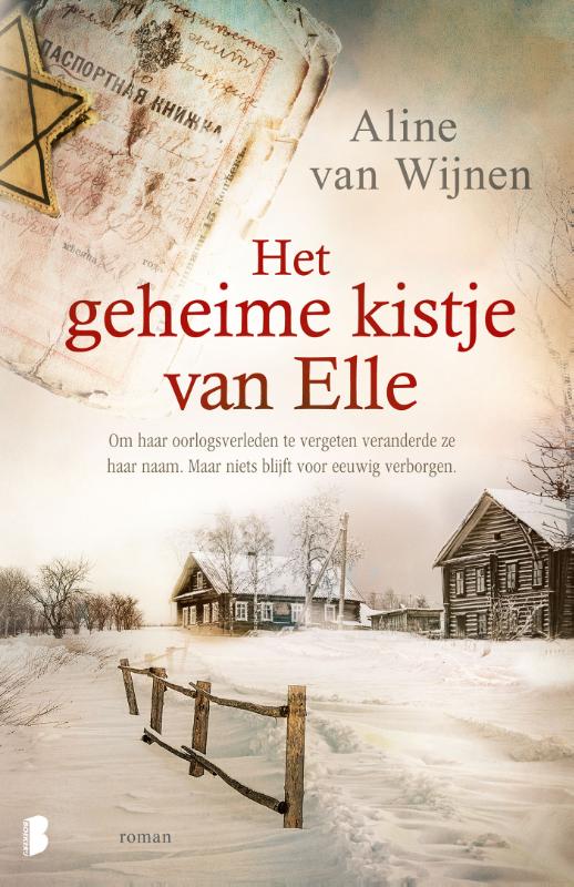 Omslag van Het geheime kistje van Elle
