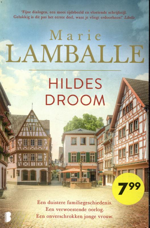 Omslag van Hildes droom