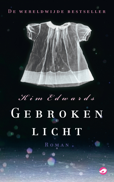 Omslag van Gebroken licht