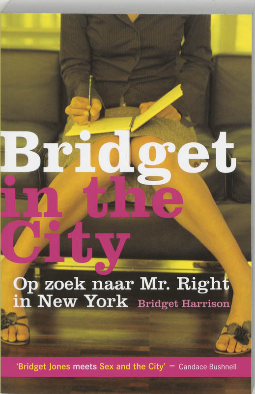 Omslag van Bridget in the city