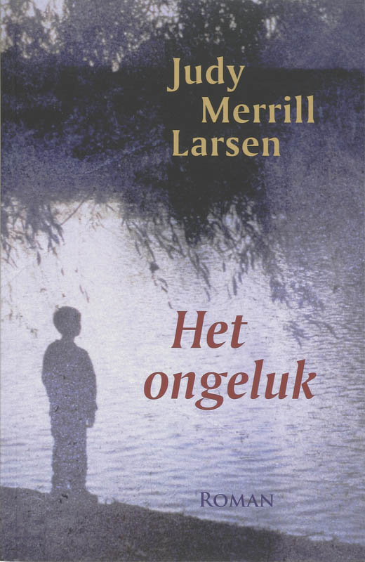 Omslag van Het ongeluk