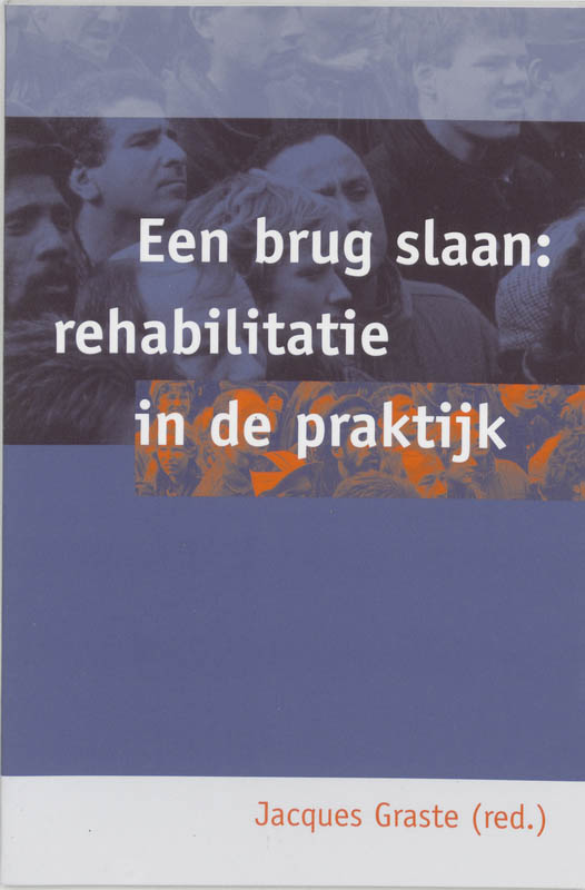 Omslag van Een brug slaan