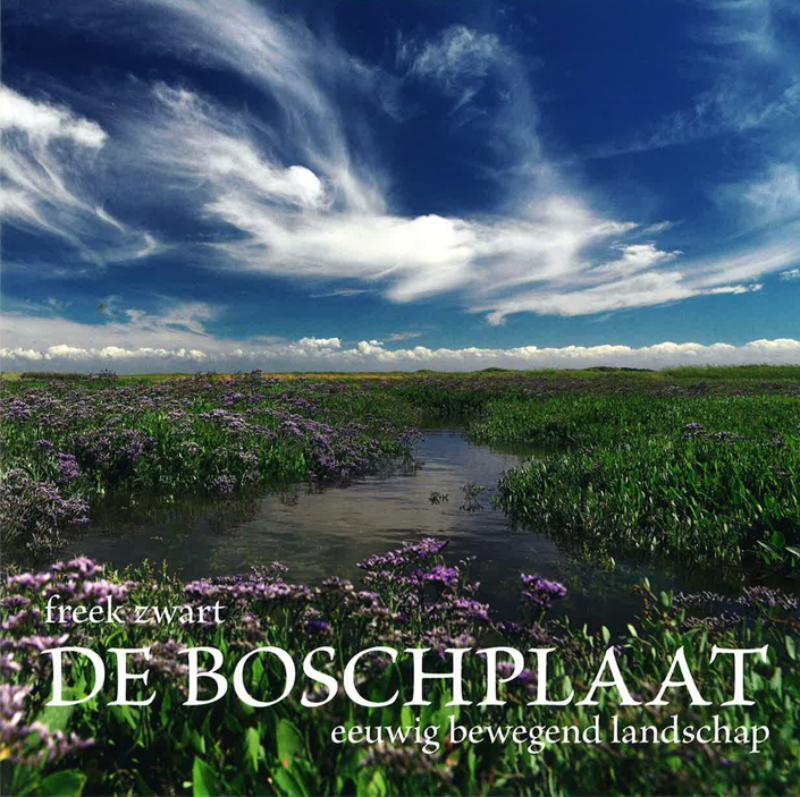 Omslag van De Boschplaat