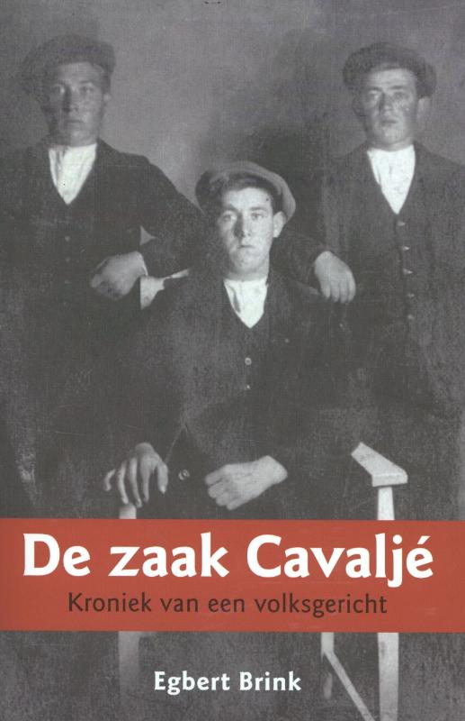 Omslag van De zaak Cavalje