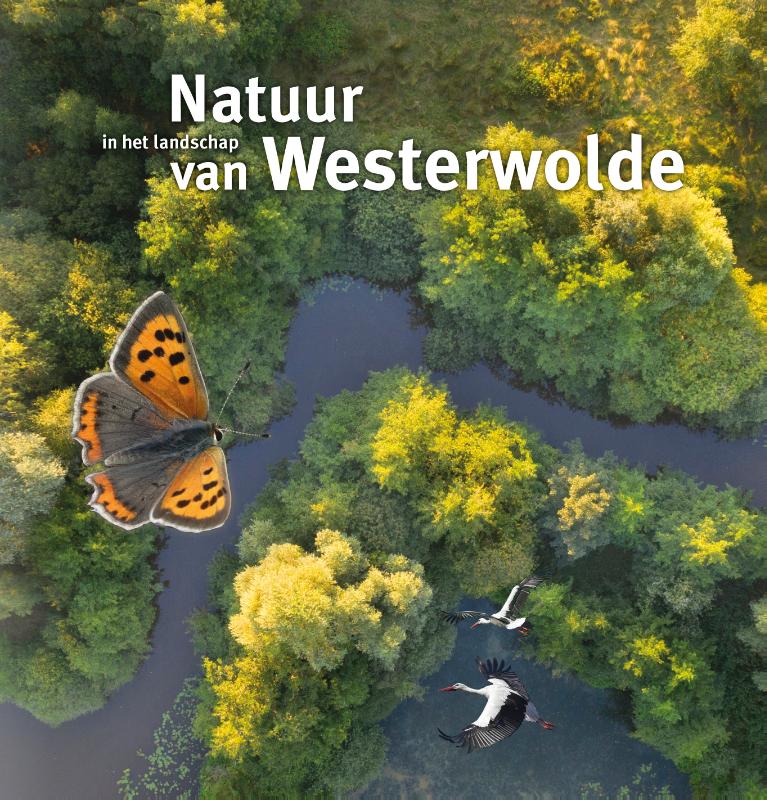 Omslag van Natuur in het landschap van Westerwolde