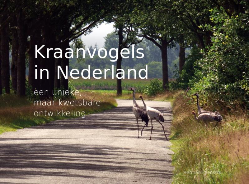 Omslag van Kraanvogels in Nederland