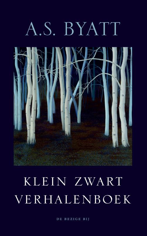Omslag van Klein zwart verhalenboek
