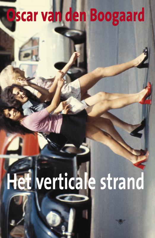 Omslag van Het Verticale Strand