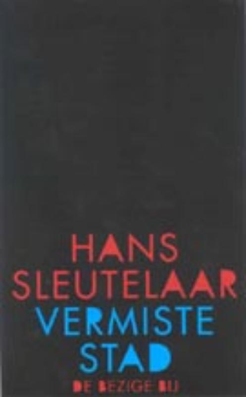 Omslag van Vermiste stad