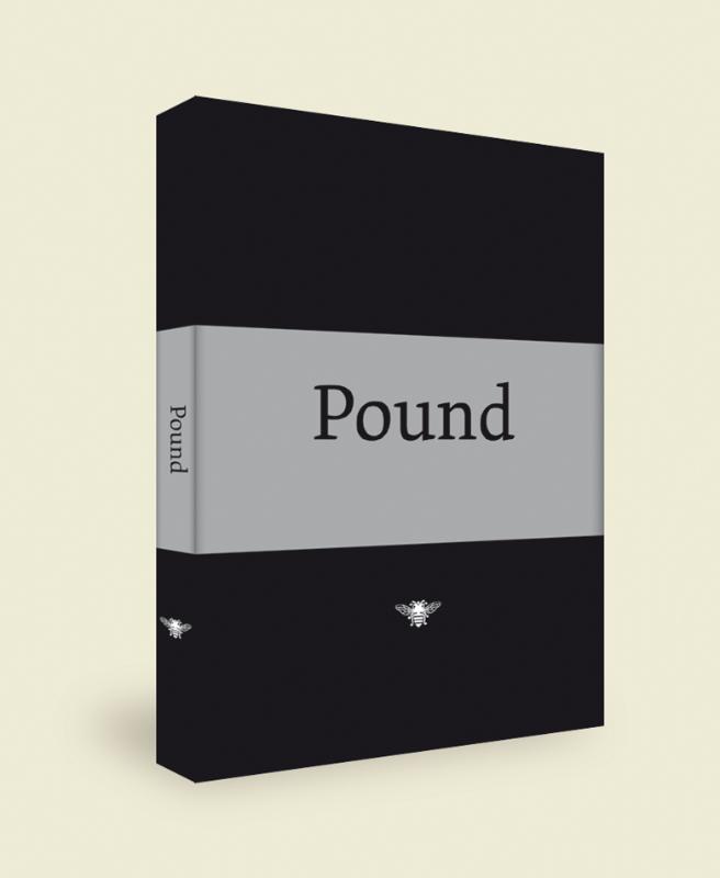 Omslag van Pound