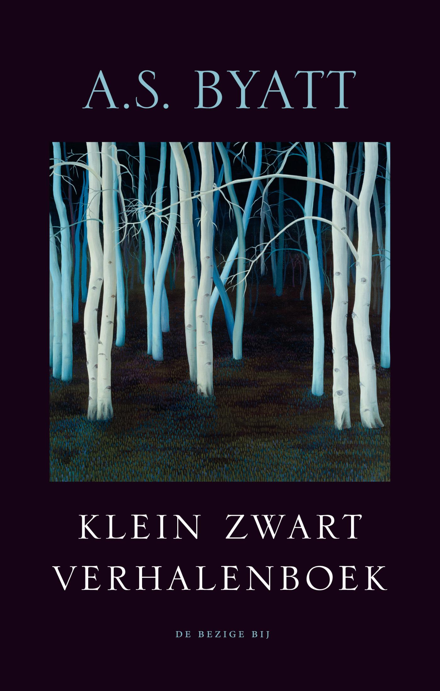 Omslag van Klein zwart verhalenboek