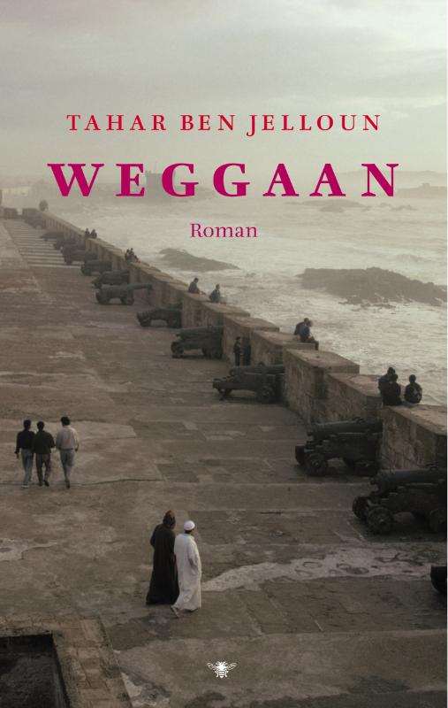 Omslag van Weggaan