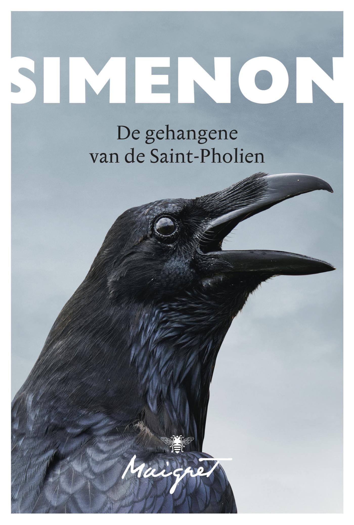 Omslag van De gehangene van de Saint-Pholien