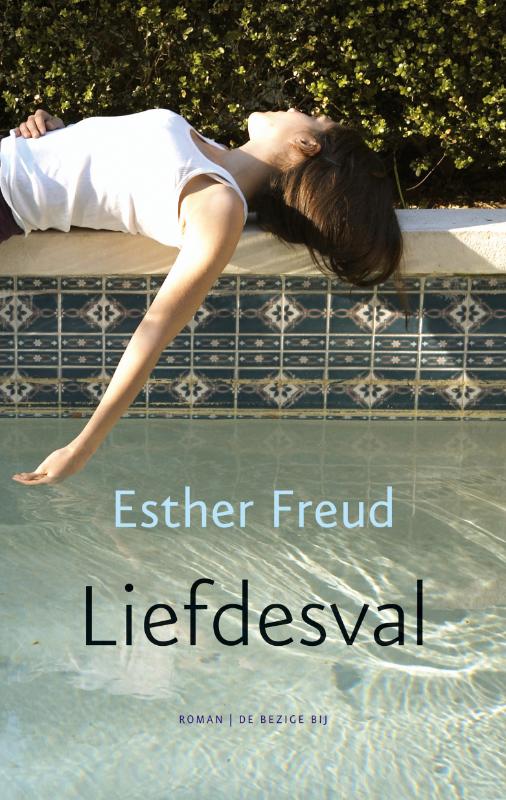 Omslag van Liefdesval
