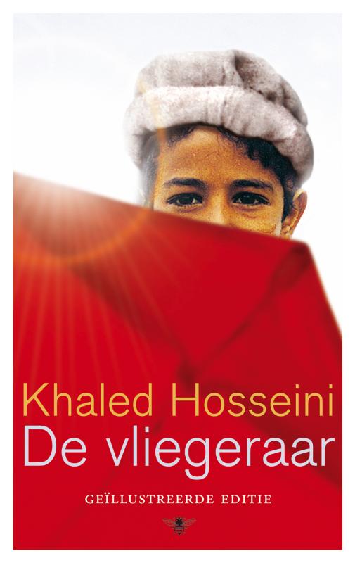 Omslag van De vliegeraar