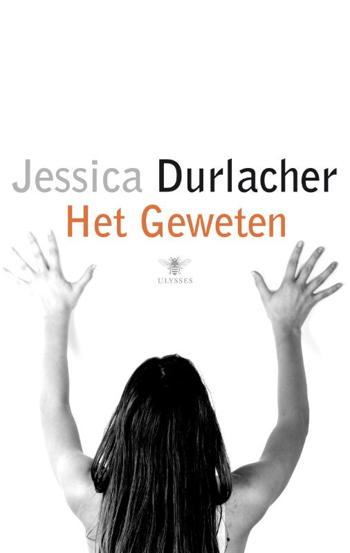 Omslag van Het geweten