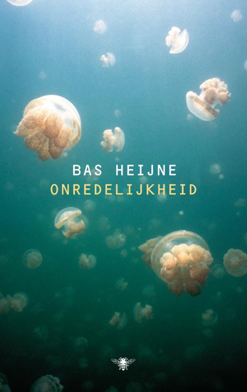 Omslag van Onredelijkheid