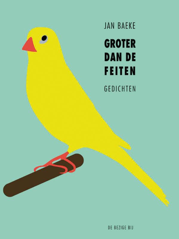 Omslag van Groter dan de feiten