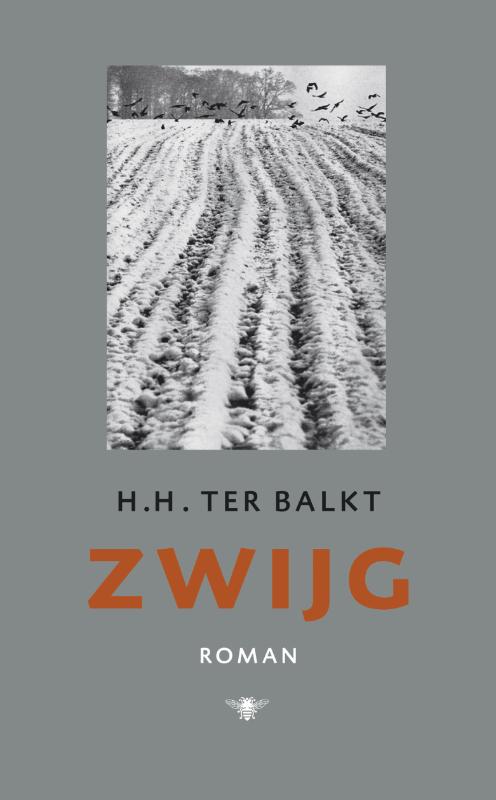 Omslag van Zwijg