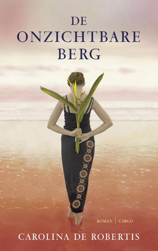 Omslag van De onzichtbare berg